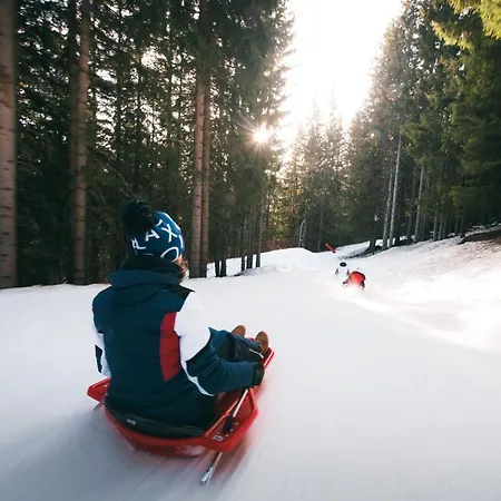 Confortable 2 Pieces, Skis Aux Pieds, Proche Commerces - Fr-1-182a-15 קורשבל