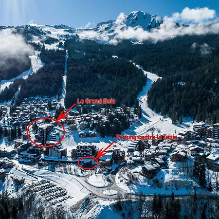 Confortable 2 Pieces, Skis Aux Pieds, Proche Commerces - Fr-1-182a-15 Courchevel
